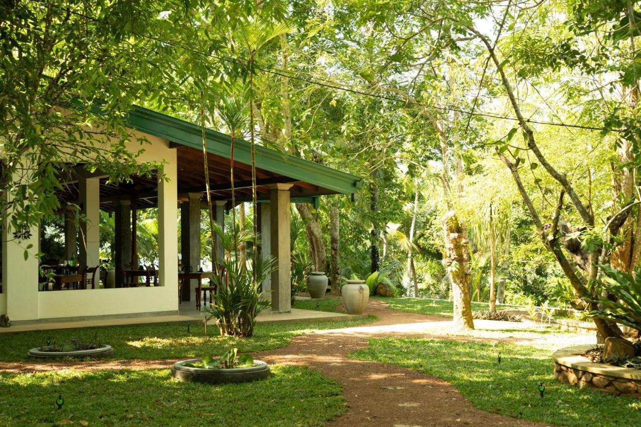 Villa Birdlake Hikkaduwa Extérieur photo
