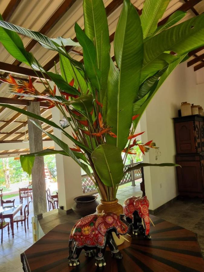 Villa Birdlake Hikkaduwa Extérieur photo