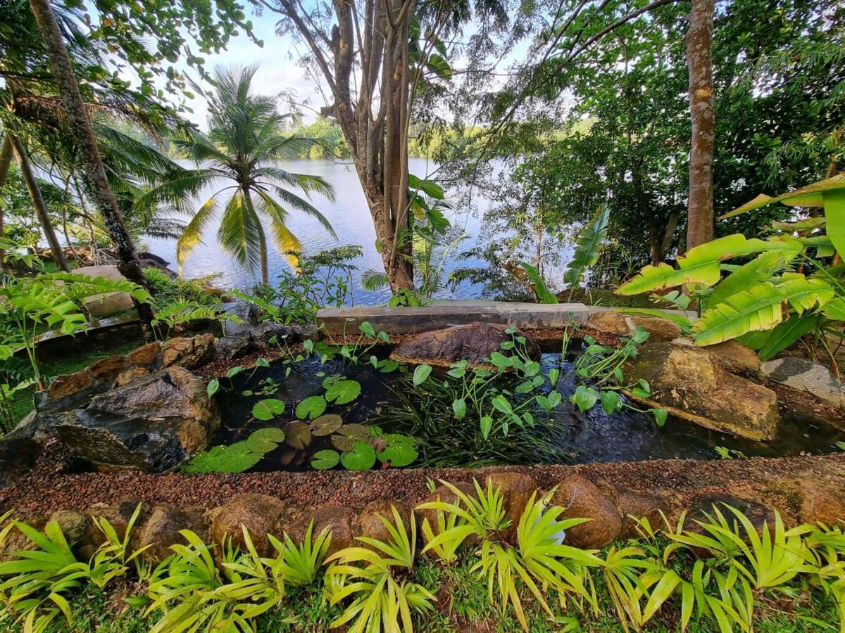 Villa Birdlake Hikkaduwa Extérieur photo