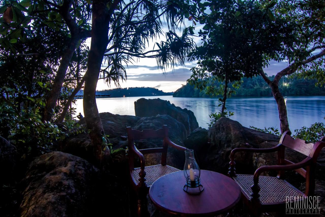 Villa Birdlake Hikkaduwa Extérieur photo