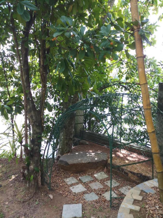 Villa Birdlake Hikkaduwa Extérieur photo