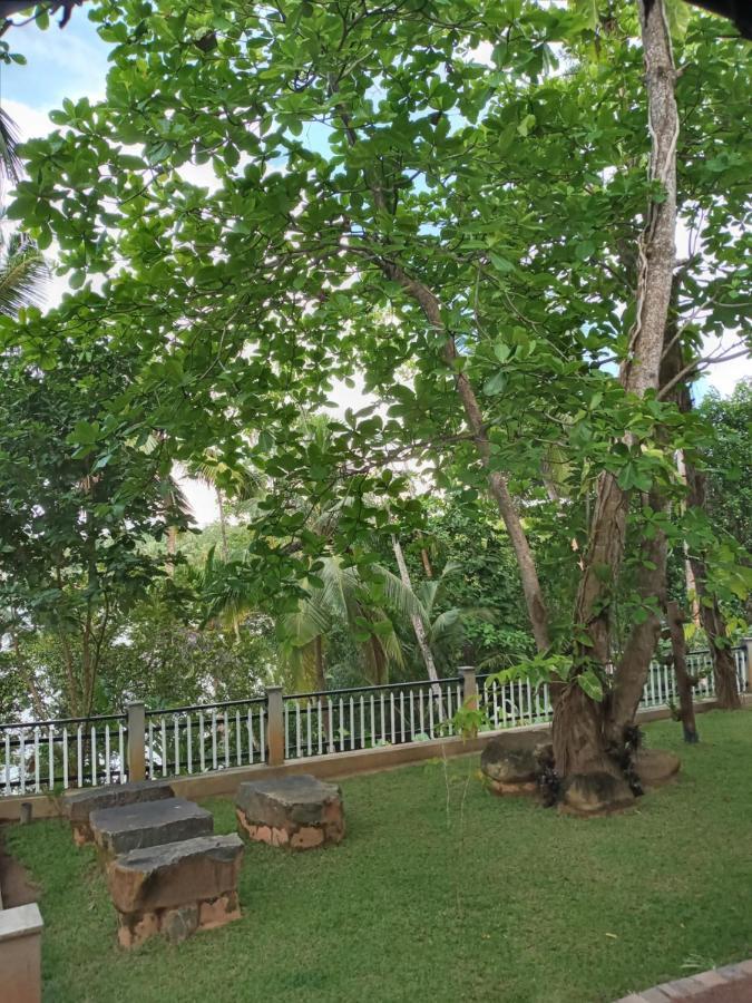 Villa Birdlake Hikkaduwa Extérieur photo