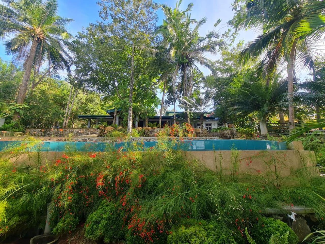 Villa Birdlake Hikkaduwa Extérieur photo