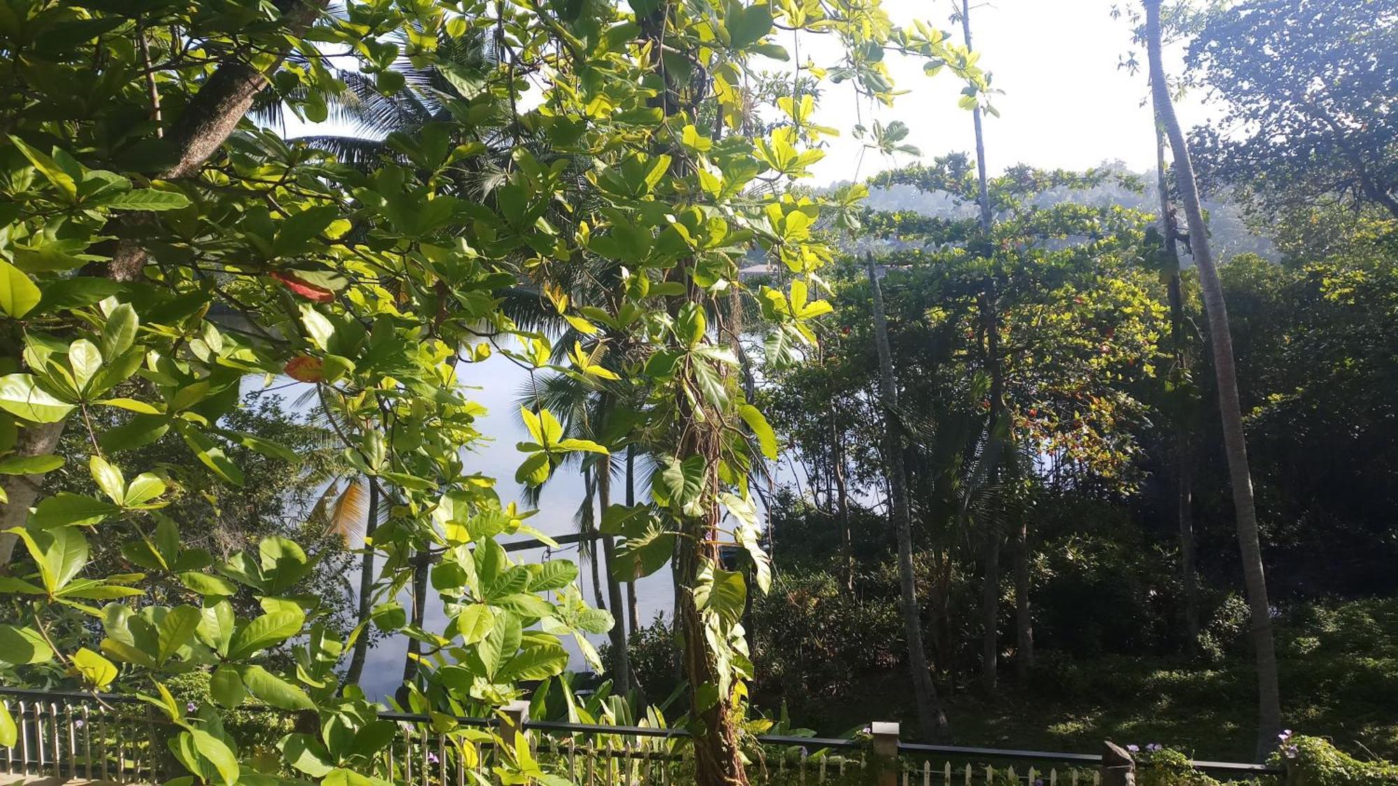 Villa Birdlake Hikkaduwa Extérieur photo