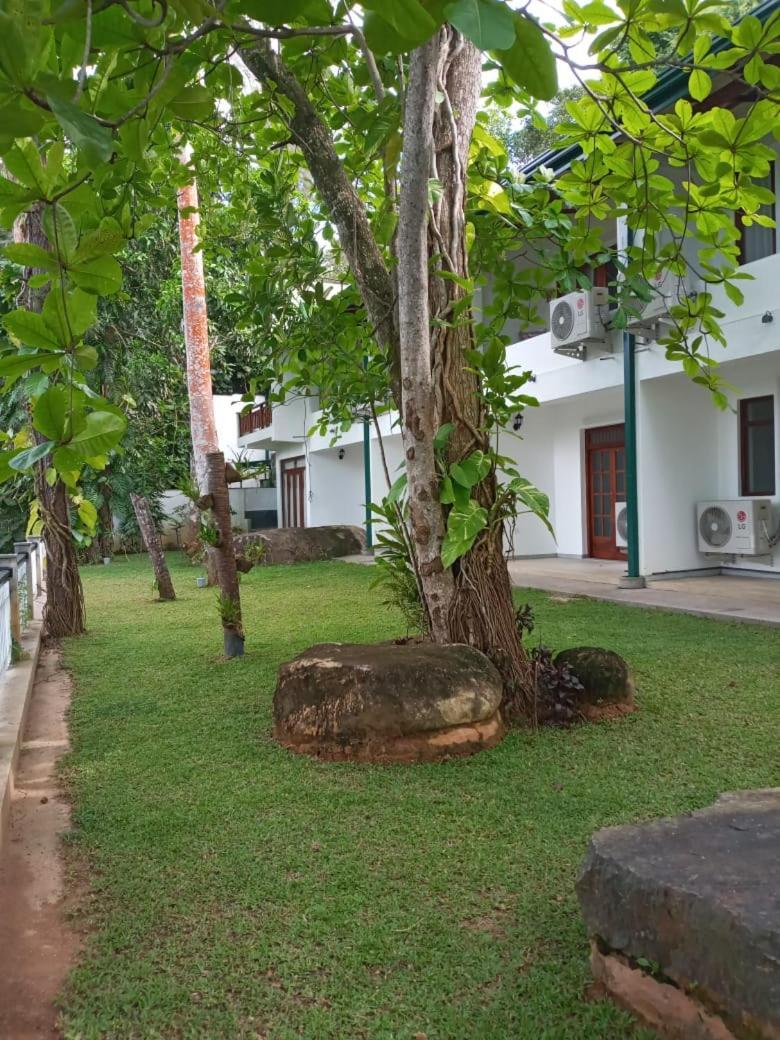 Villa Birdlake Hikkaduwa Extérieur photo